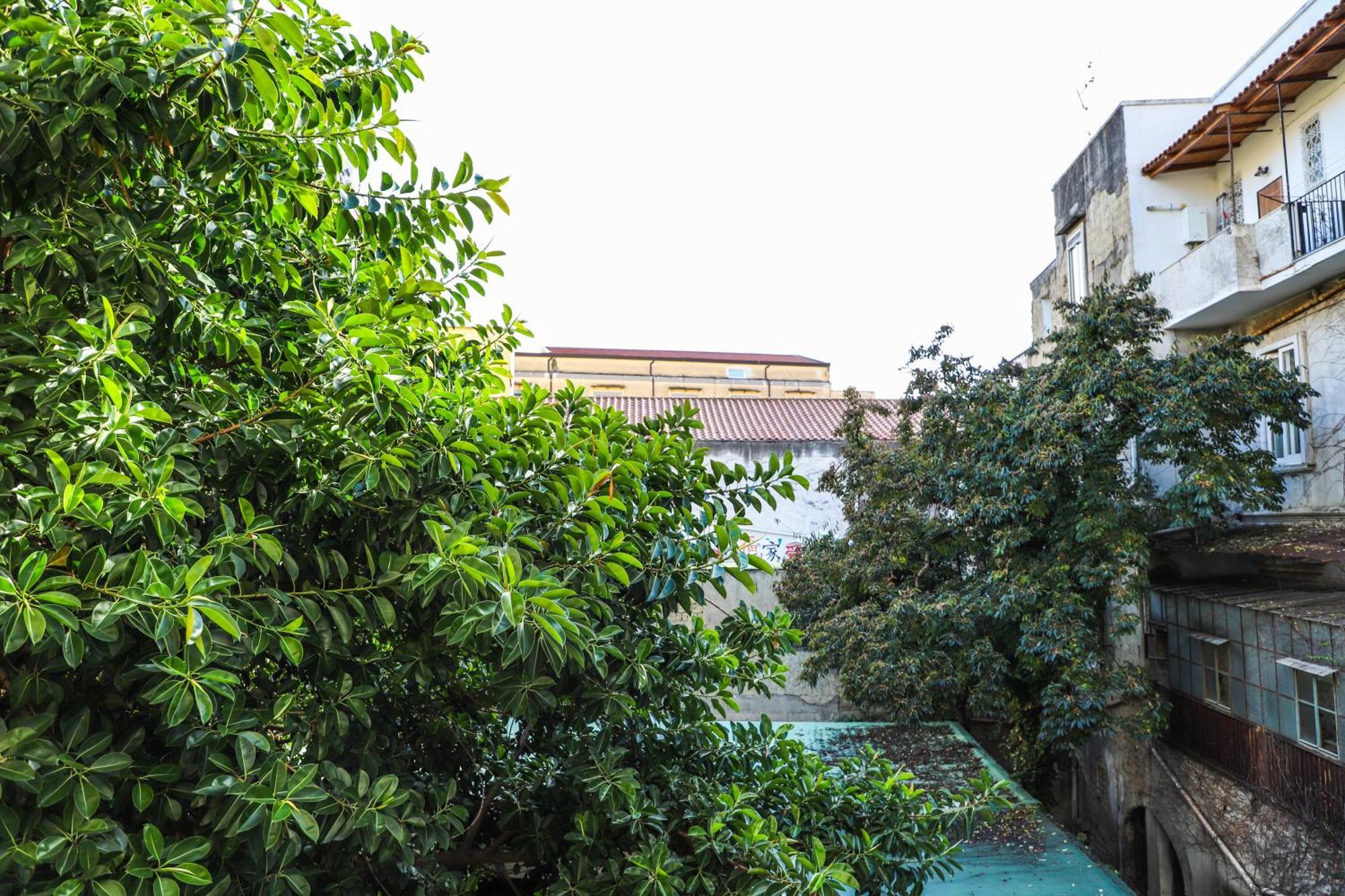 Le Scalette A Santa Chiara Lägenhet Neapel Exteriör bild